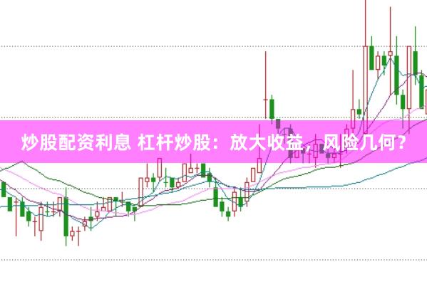 炒股配资利息 杠杆炒股：放大收益，风险几何？