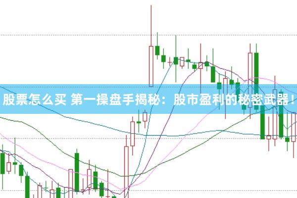 股票怎么买 第一操盘手揭秘：股市盈利的秘密武器！