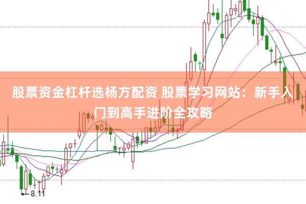 股票资金杠杆选杨方配资 股票学习网站：新手入门到高手进阶全攻略