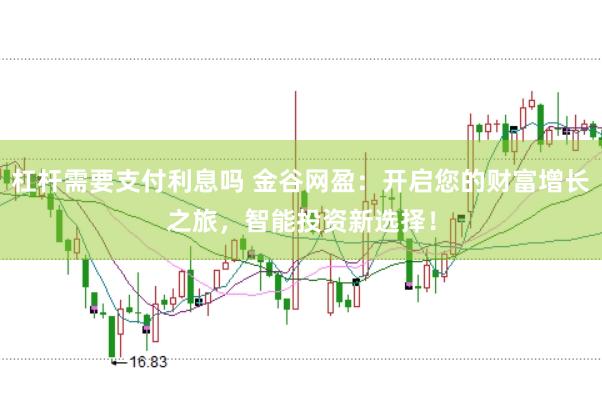 杠杆需要支付利息吗 金谷网盈：开启您的财富增长之旅，智能投资新选择！