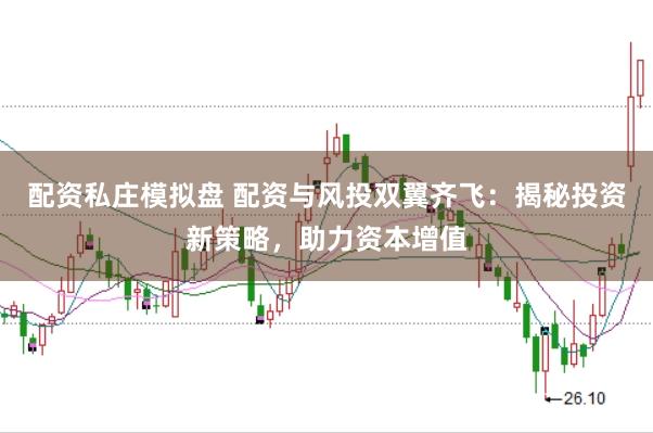 配资私庄模拟盘 配资与风投双翼齐飞：揭秘投资新策略，助力资本增值