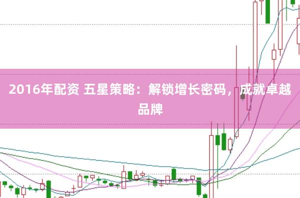 2016年配资 五星策略：解锁增长密码，成就卓越品牌