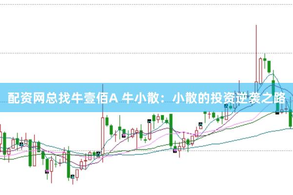 配资网总找牛壹佰A 牛小散：小散的投资逆袭之路