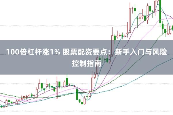 100倍杠杆涨1% 股票配资要点：新手入门与风险控制指南