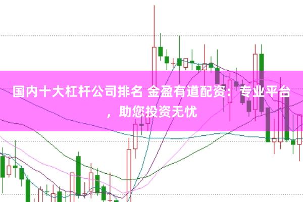 国内十大杠杆公司排名 金盈有道配资：专业平台，助您投资无忧