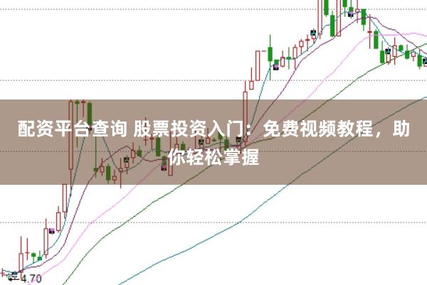 配资平台查询 股票投资入门：免费视频教程，助你轻松掌握