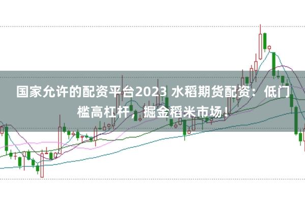 国家允许的配资平台2023 水稻期货配资：低门槛高杠杆，掘金稻米市场！