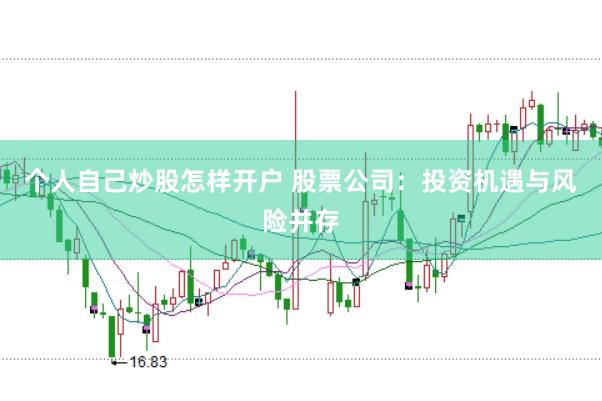 个人自己炒股怎样开户 股票公司：投资机遇与风险并存