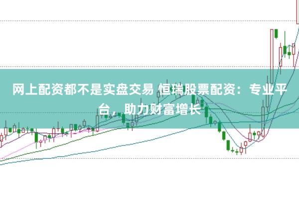 网上配资都不是实盘交易 恒瑞股票配资：专业平台，助力财富增长